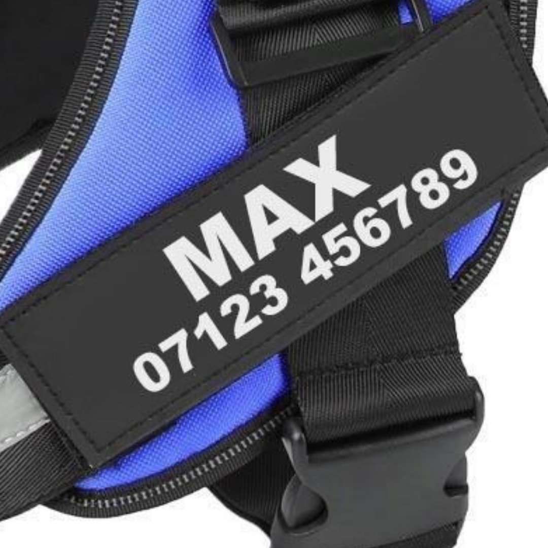 Custom Harness Name Tag - Waggy Tails