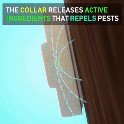 NATURAL ANTI-FLEA, TICK, & MOSQUITO COLLAR (ADVANCED PROTECTION)