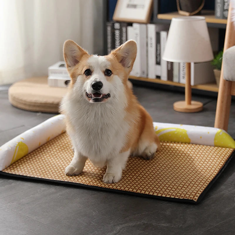 Cooling Summer Breathable Dog Sofa Mat