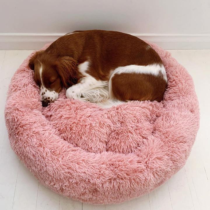 Cosy Calming Pet Bed - Waggy Tails