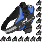 Personalised No Pull Dog Harness