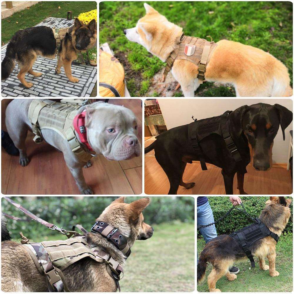 Tactical No Pull Dog Harness - Waggy Tails