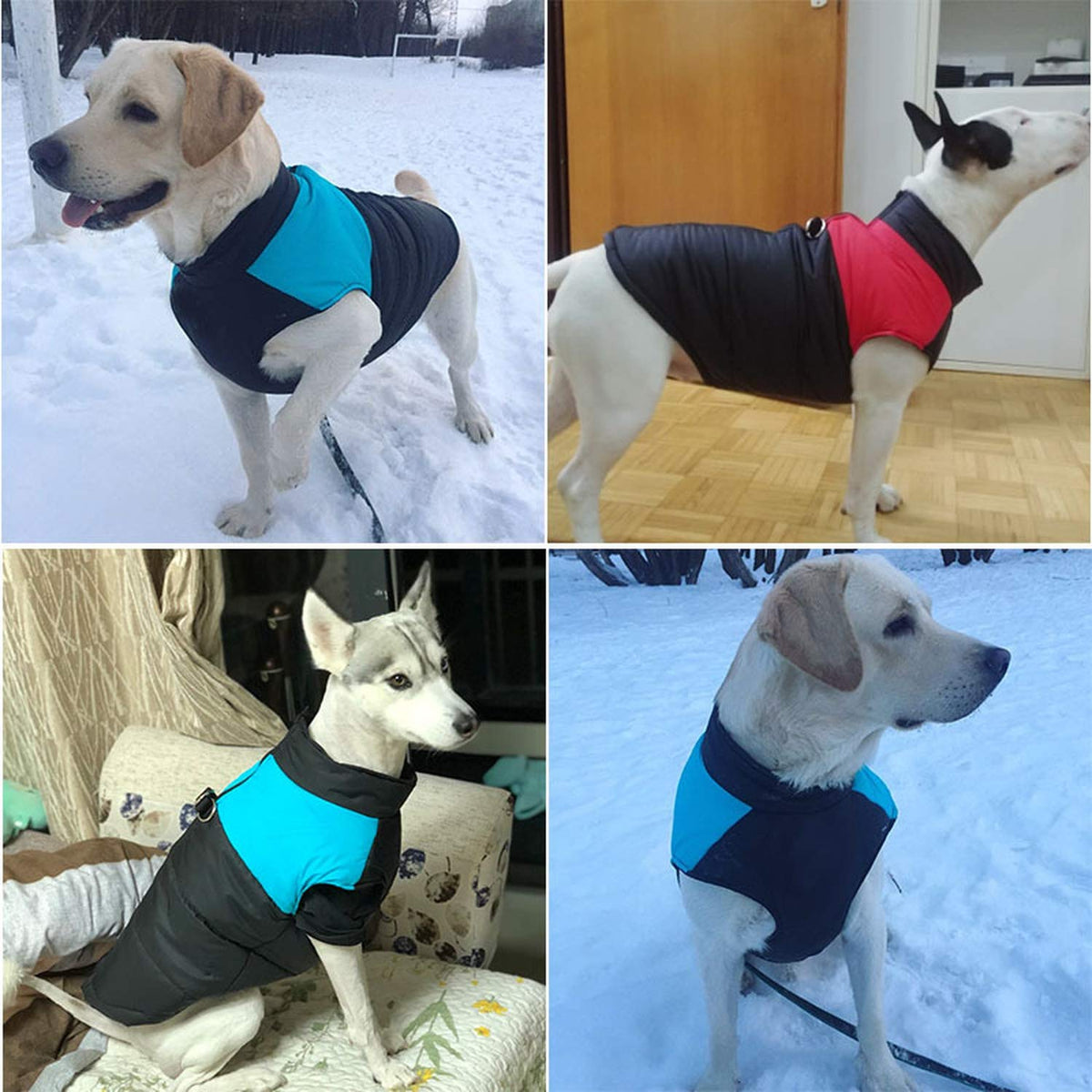 Warm Waterproof Dog Coat - Waggy Tails